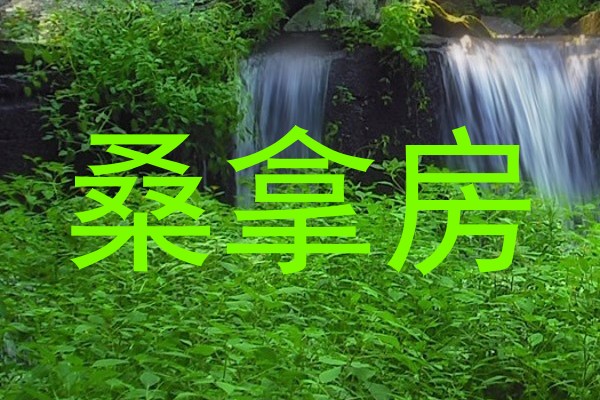桑拿房