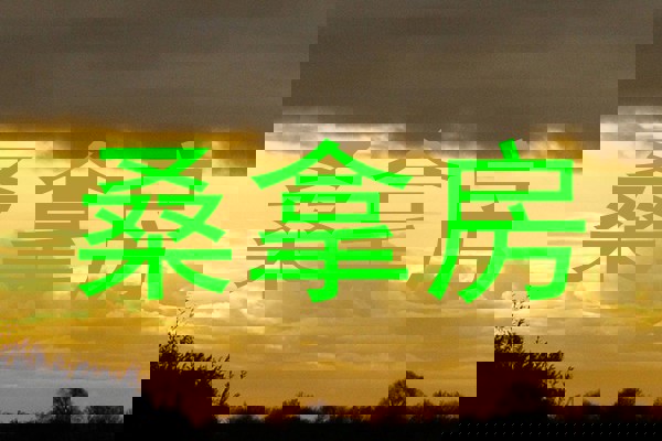 桑拿房