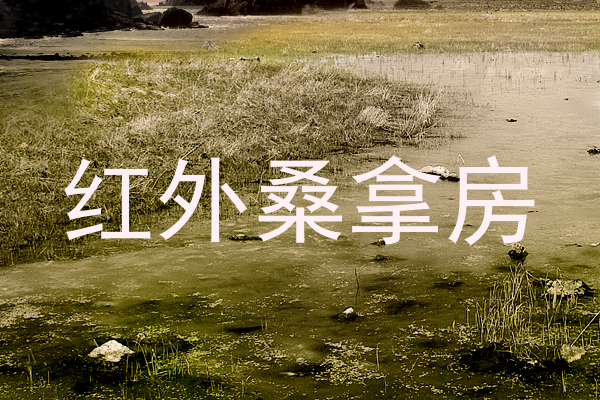 红外桑拿房