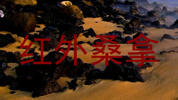 红外桑拿
