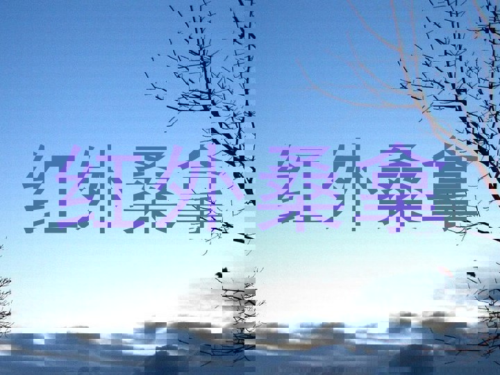 红外桑拿