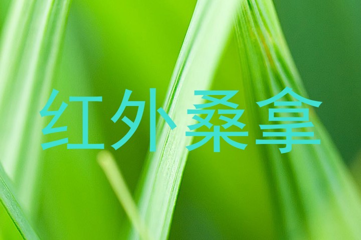 红外桑拿