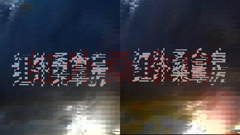 红外桑拿房