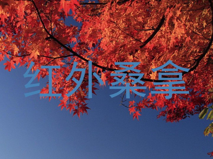 红外桑拿