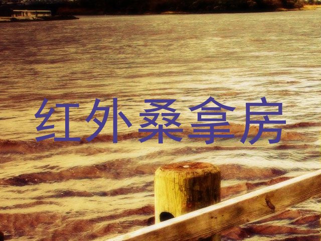 红外桑拿房