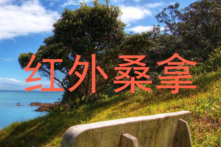红外桑拿