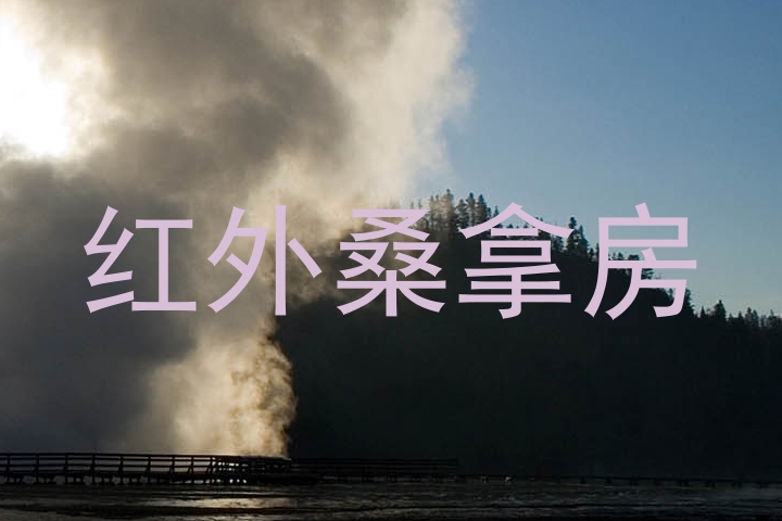 红外桑拿房