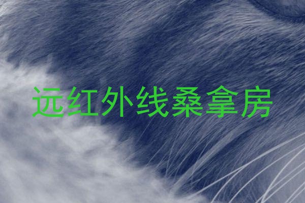 远红外线桑拿房