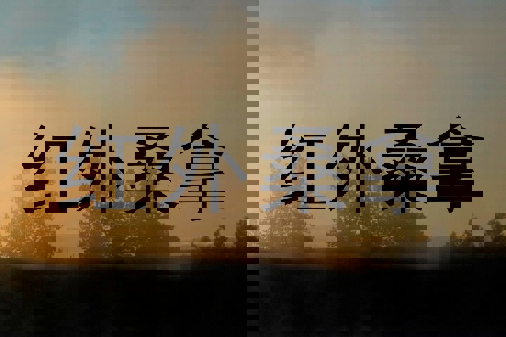 红外桑拿