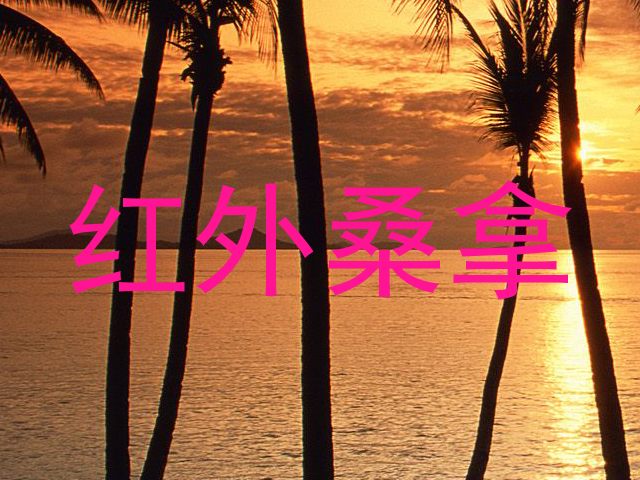 红外桑拿