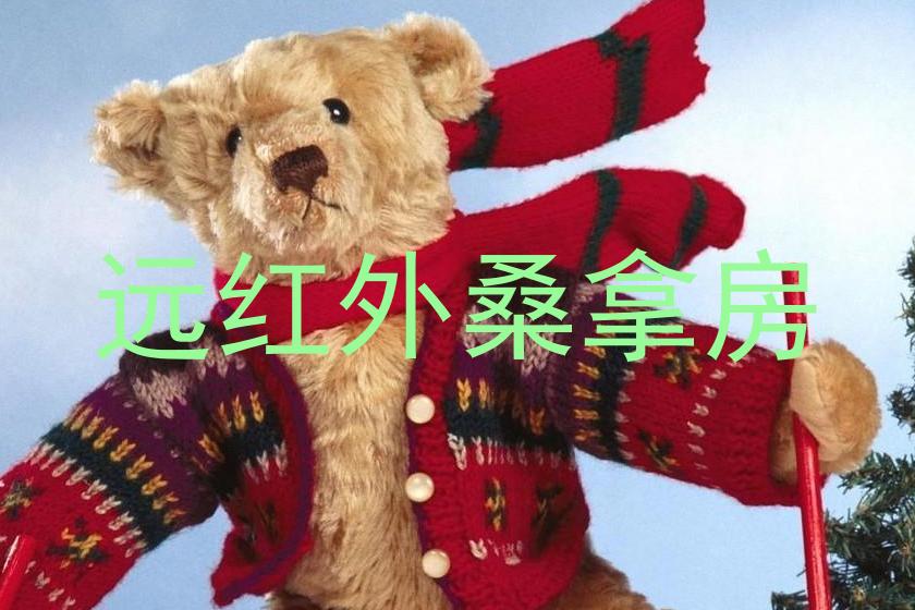 远红外桑拿房