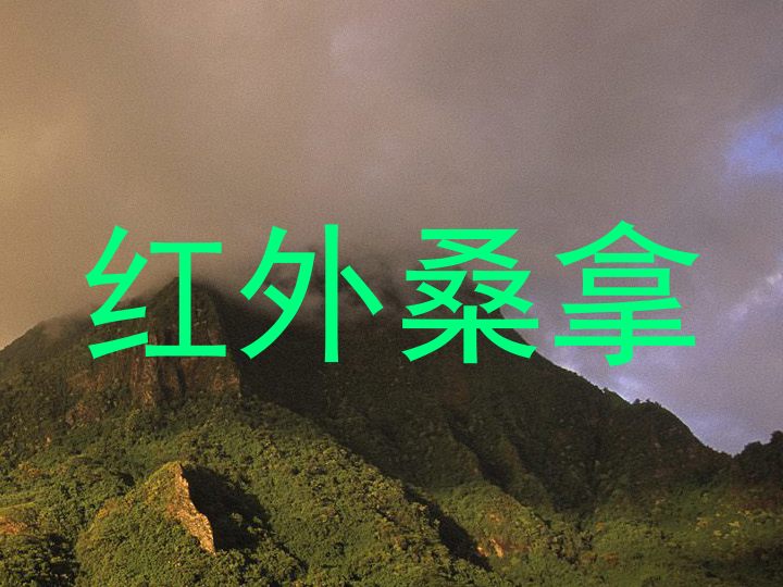 红外桑拿