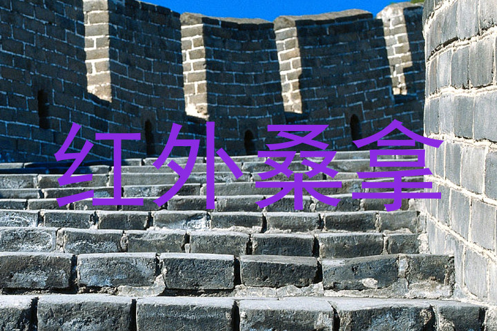 红外桑拿