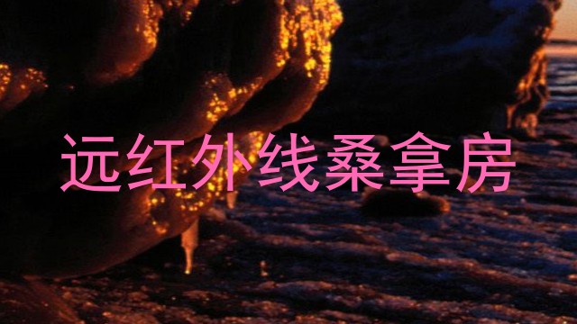 远红外线桑拿房