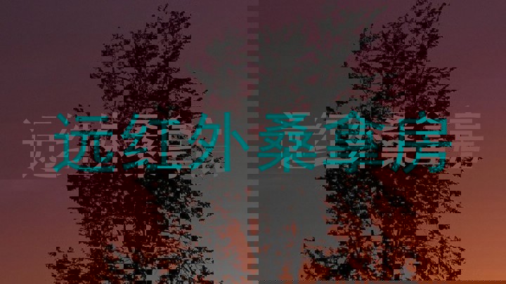 远红外桑拿房