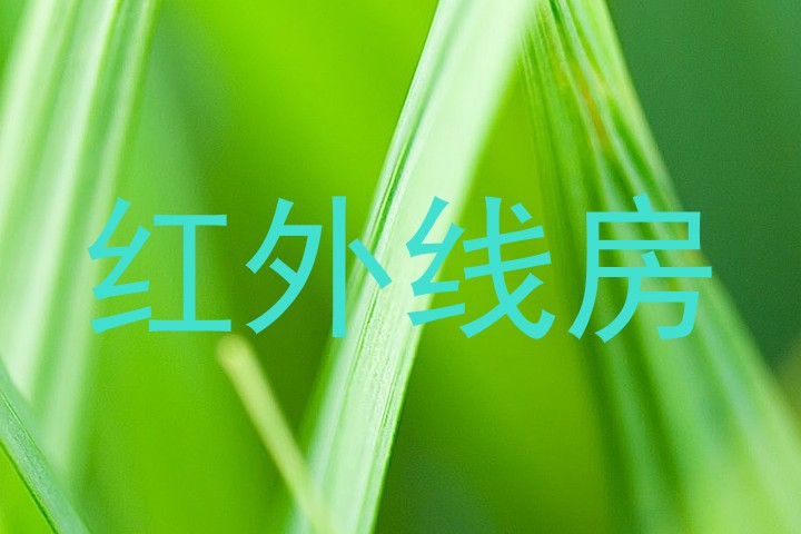 红外线房