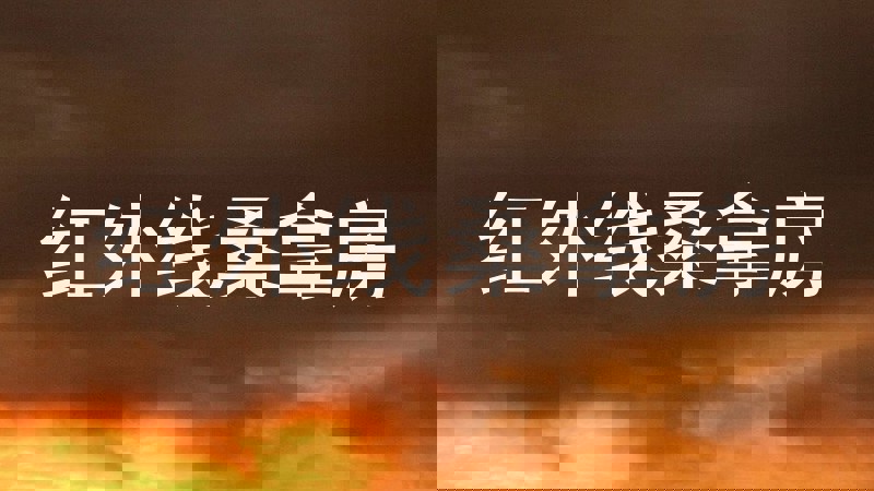 红外线桑拿房
