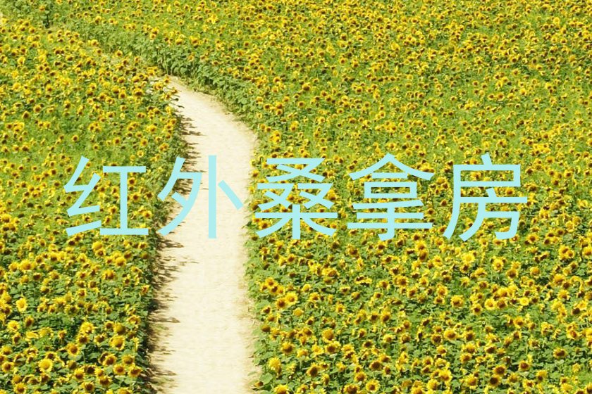 红外桑拿房
