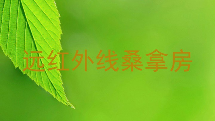 远红外线桑拿房