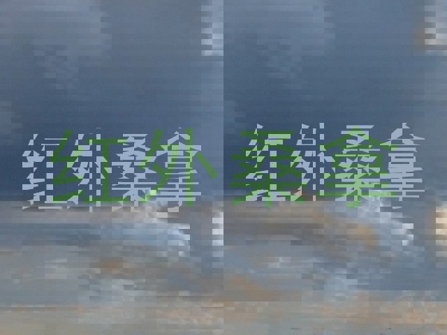 红外桑拿