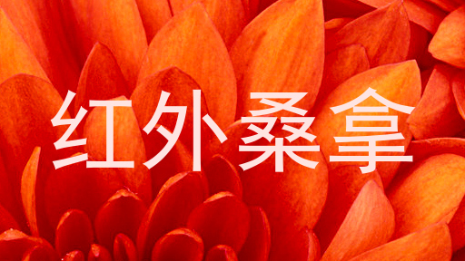 红外桑拿