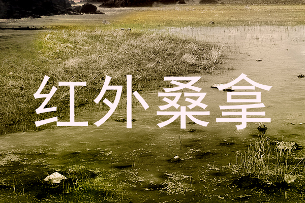 红外桑拿
