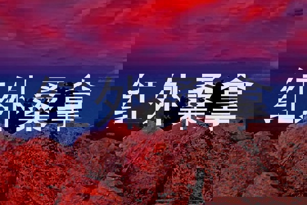 红外桑拿