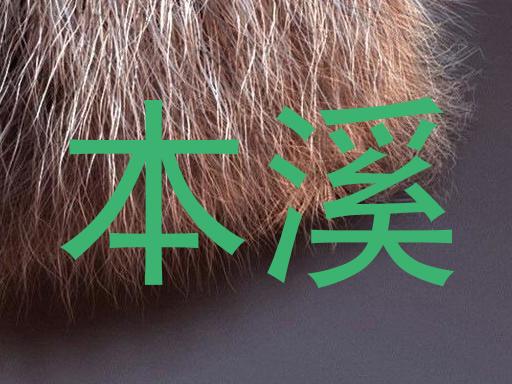 本溪