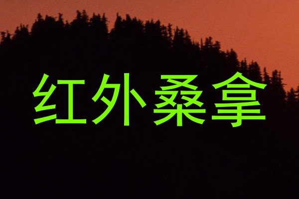 红外桑拿
