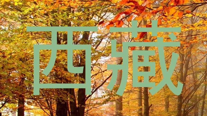 西藏