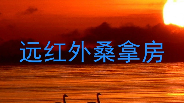 远红外桑拿房