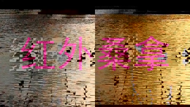 红外桑拿