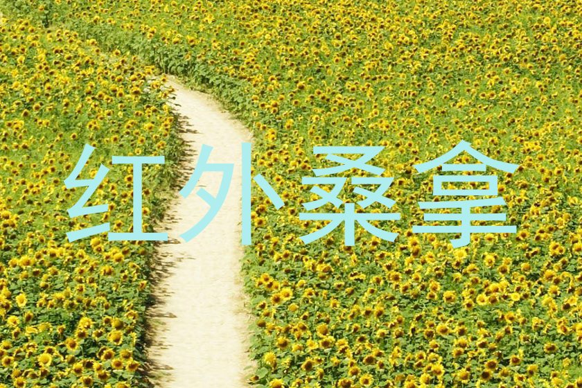 红外桑拿