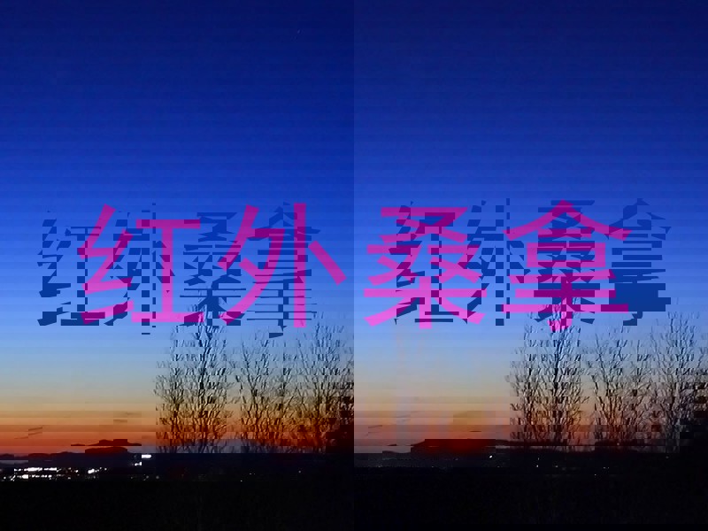 红外桑拿