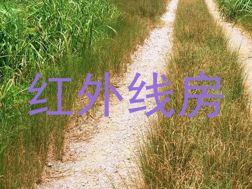 红外线房