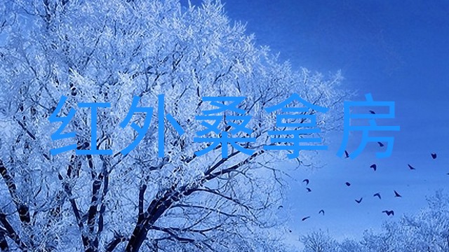 红外桑拿房