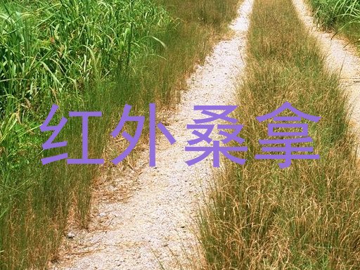 红外桑拿