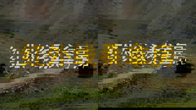 红外线桑拿房