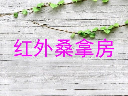 红外桑拿房