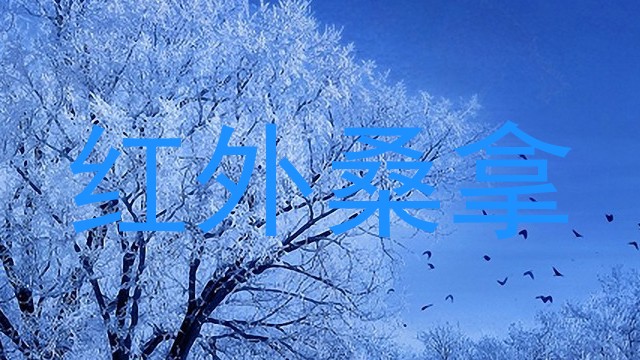红外桑拿