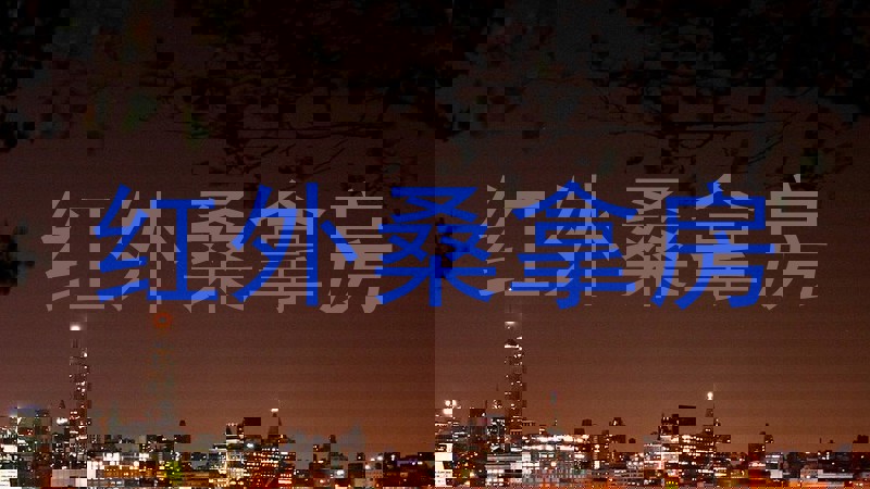 红外桑拿房