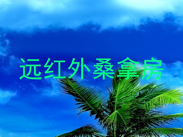 远红外桑拿房
