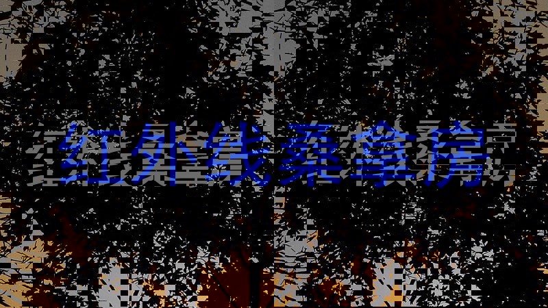 红外线桑拿房