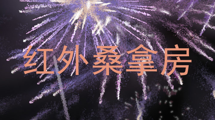 红外桑拿房
