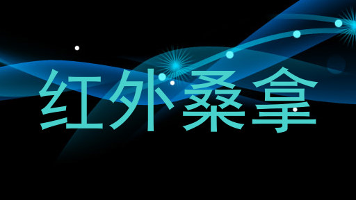 红外桑拿