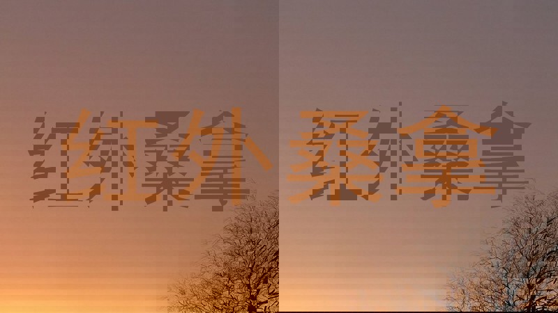 红外桑拿