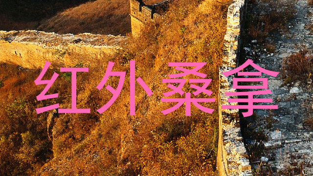 红外桑拿