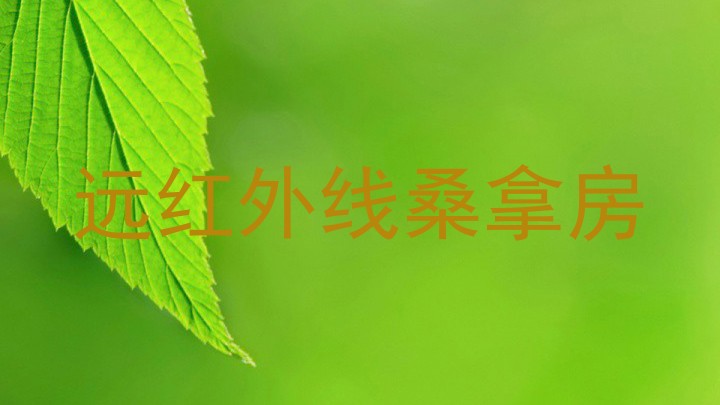 远红外线桑拿房