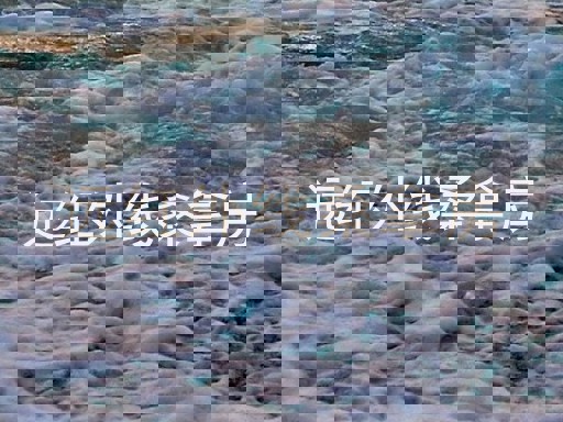 远红外线桑拿房