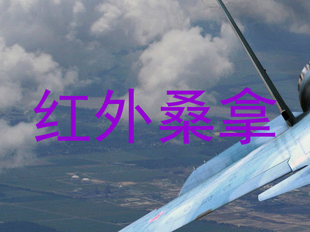 红外桑拿